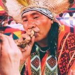 Какую рапе приносит пользу