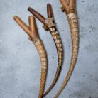 img_8006-1-1-1.jpg