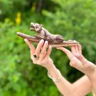 IMG_9027_jpg (1)_11zon