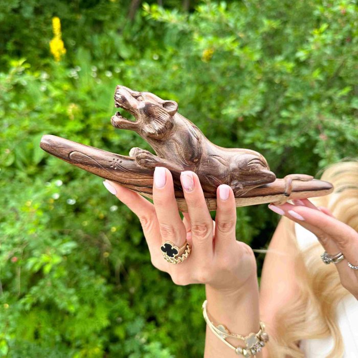 IMG_9035_11zon IMG_9035_11zon