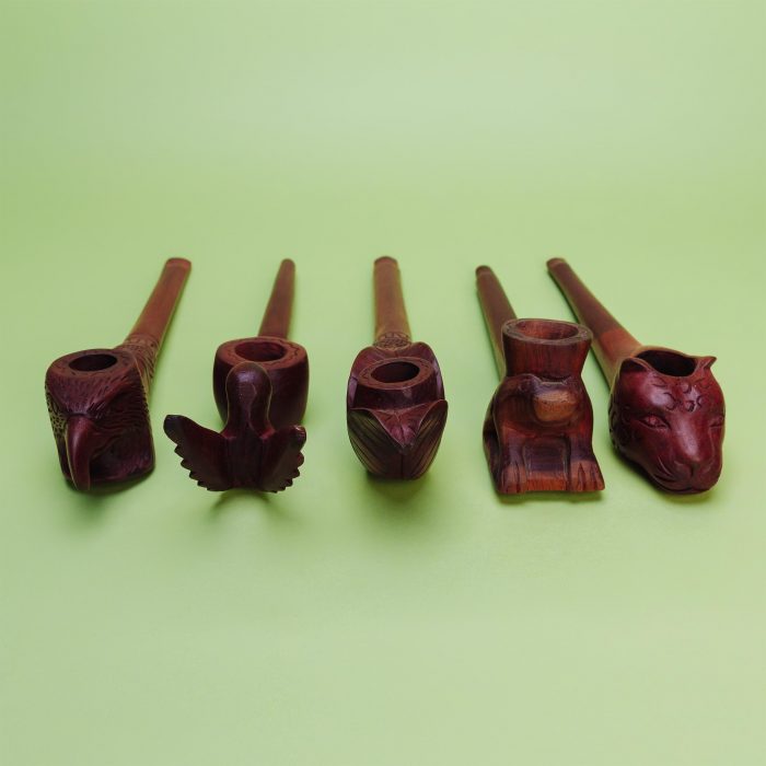 jungle-3063 jungle-3063