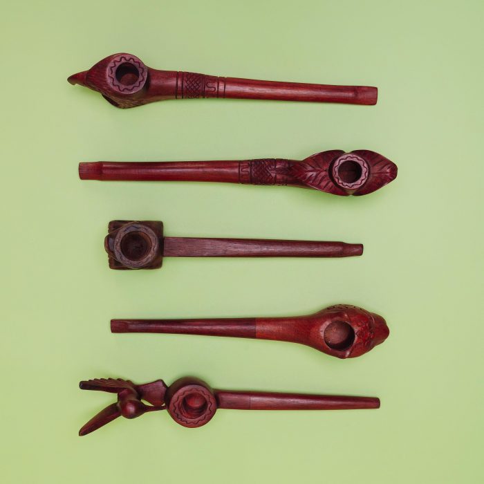 jungle-3074 jungle-3074