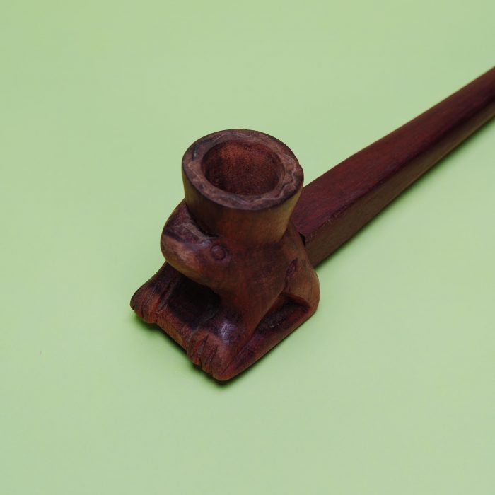 jungle-3108 jungle-3108