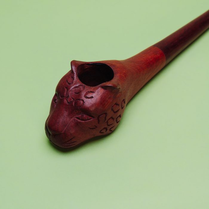 jungle-3109 jungle-3109