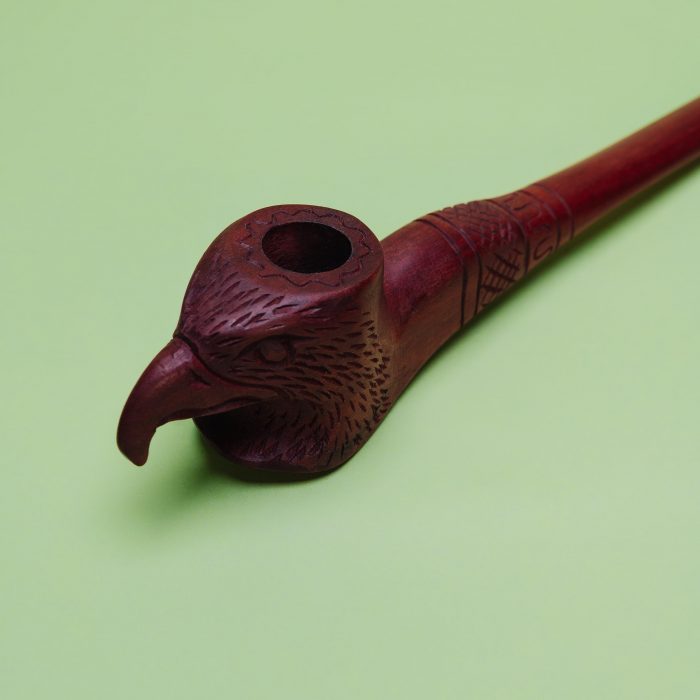 jungle-3111 jungle-3111