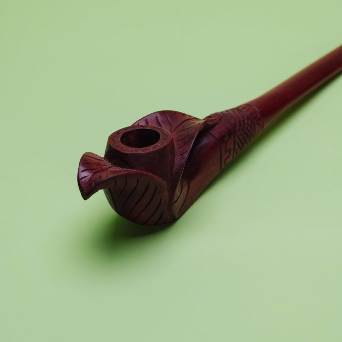 jungle-3113 jungle-3113