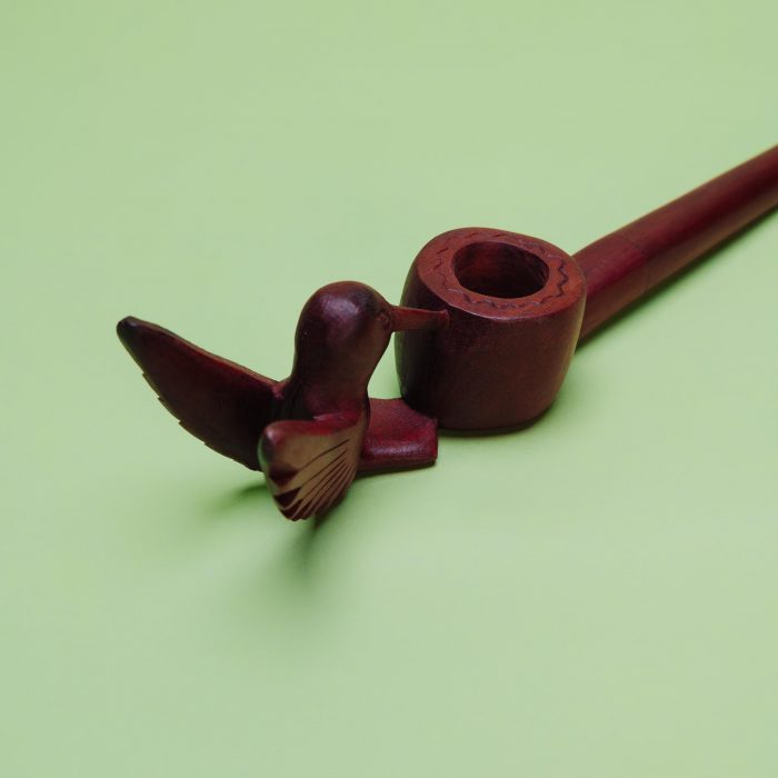 jungle-3115 jungle-3115