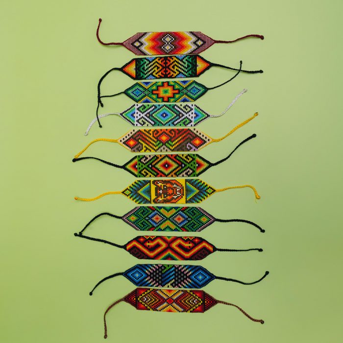 jungle-3168 jungle-3168